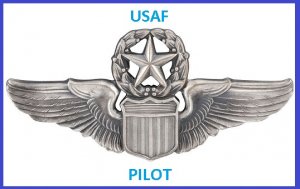 USAF PILOT BADGE.jpg
