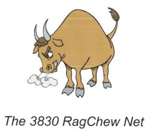 3830 Bull - Mini.jpg