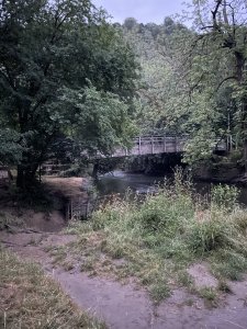 IMG_2833.jpeg