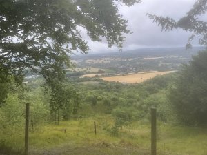 IMG_2839.jpeg