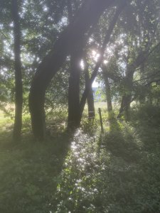 IMG_2843.jpeg