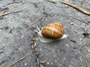 IMG_2844.jpeg