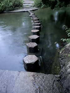 IMG_2832.jpeg