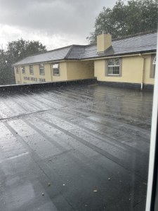 IMG_2851.jpeg