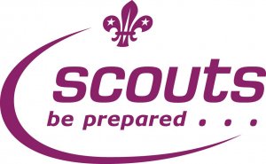 scouts logo 2.jpg