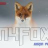 N4FOX