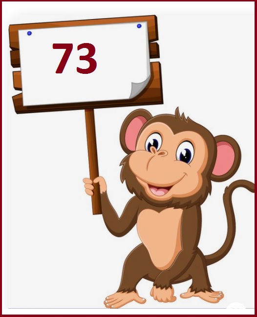 73 monkey.jpg