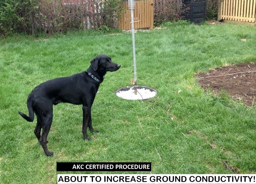 A.About to increase ground conductivity1 SMALL.jpg