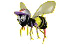 AB5TY moving BEE.gif