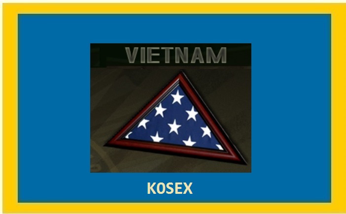 K0SEX1 A VIETNAM HONOR.jpg