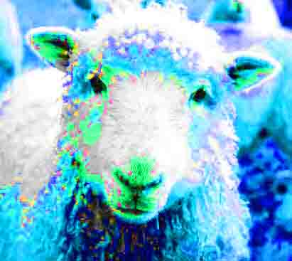 Lamb-Cosmic Exhibit A.jpg