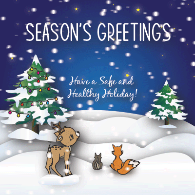safe and happy holiday.gif